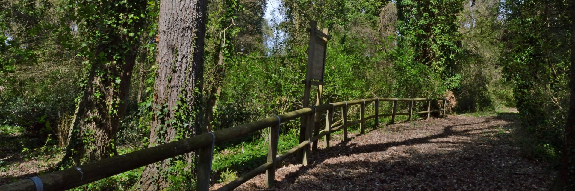 BOSCO DI DON VENANZIO Destinazione